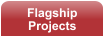 flagship projects