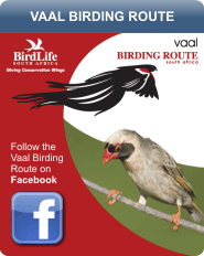 Vaal Birding Route