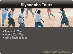 Siyanqoba Tours